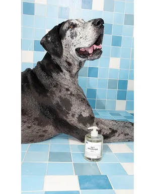 DedCool PET SHAMPOO 01 TAUNT ペット用シャンプー - サムネイル4