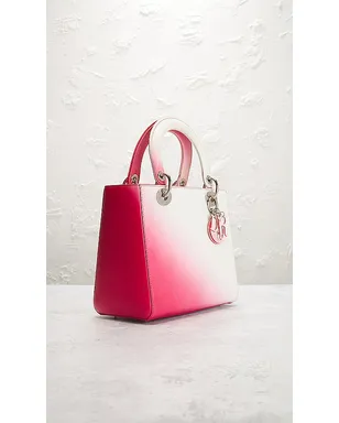 FWRD Renew DIOR ハンドバッグ - サムネイル4