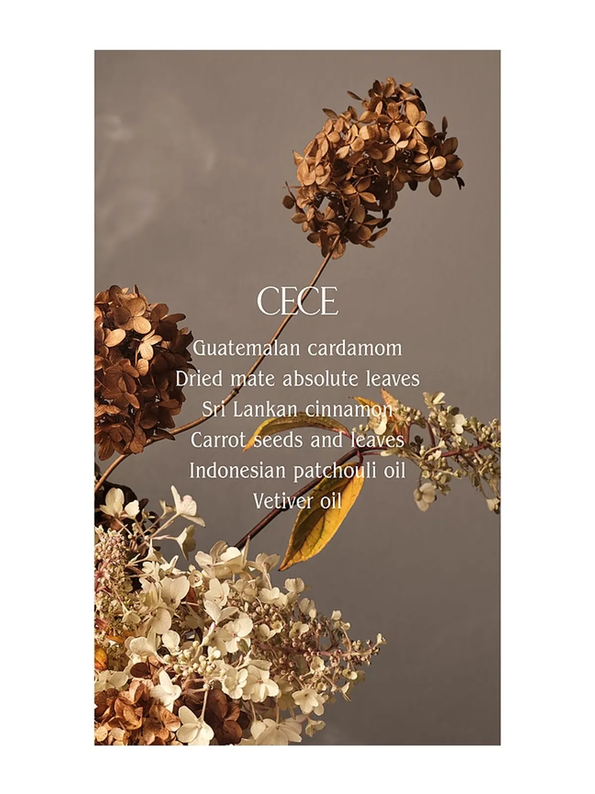 Homecourt CECE LAUNDRY CONCENTRATE 洗濯洗剤 - 画像3