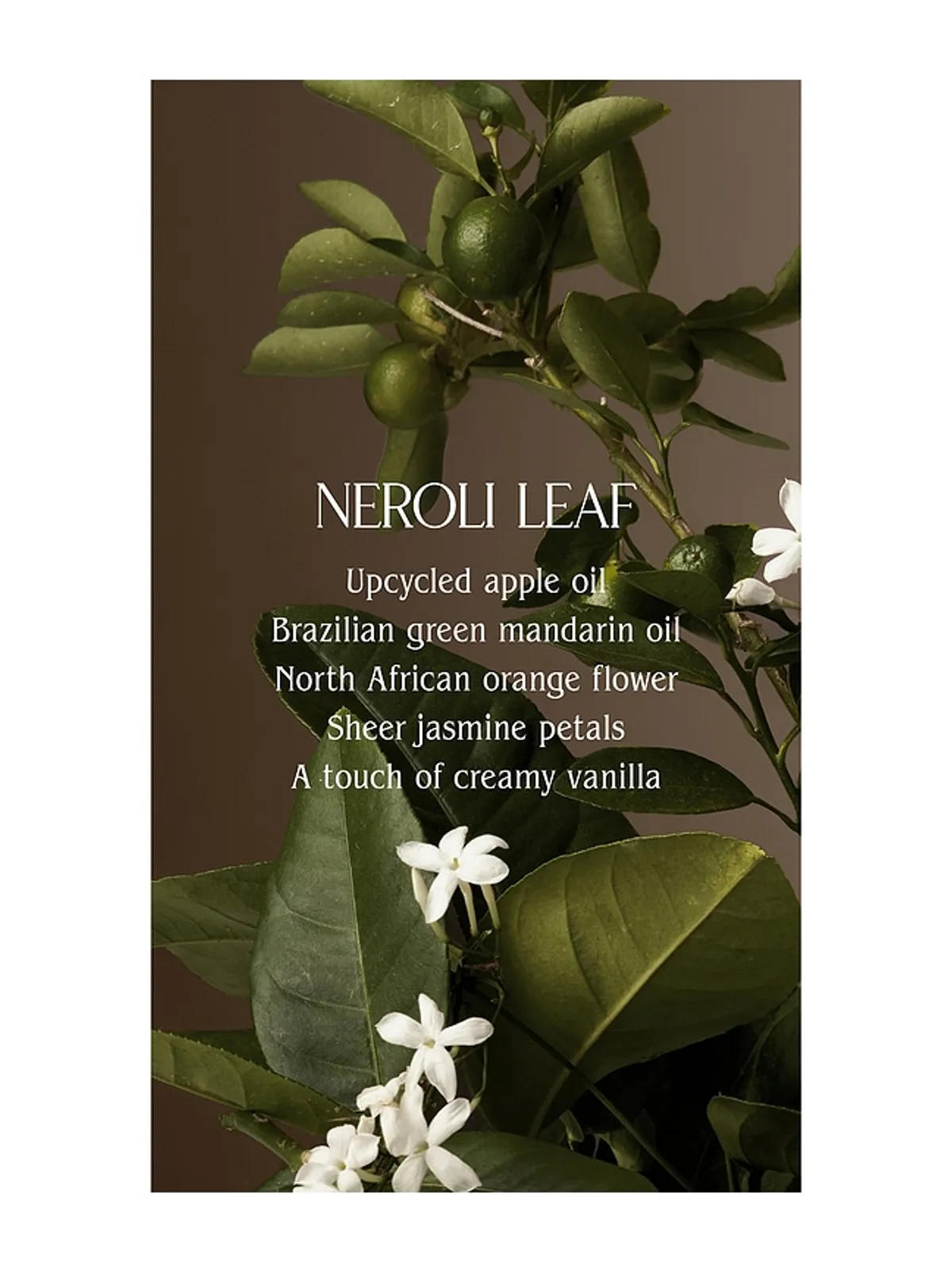 Homecourt X Revolve Neroli Leaf Linen Spray - 画像3