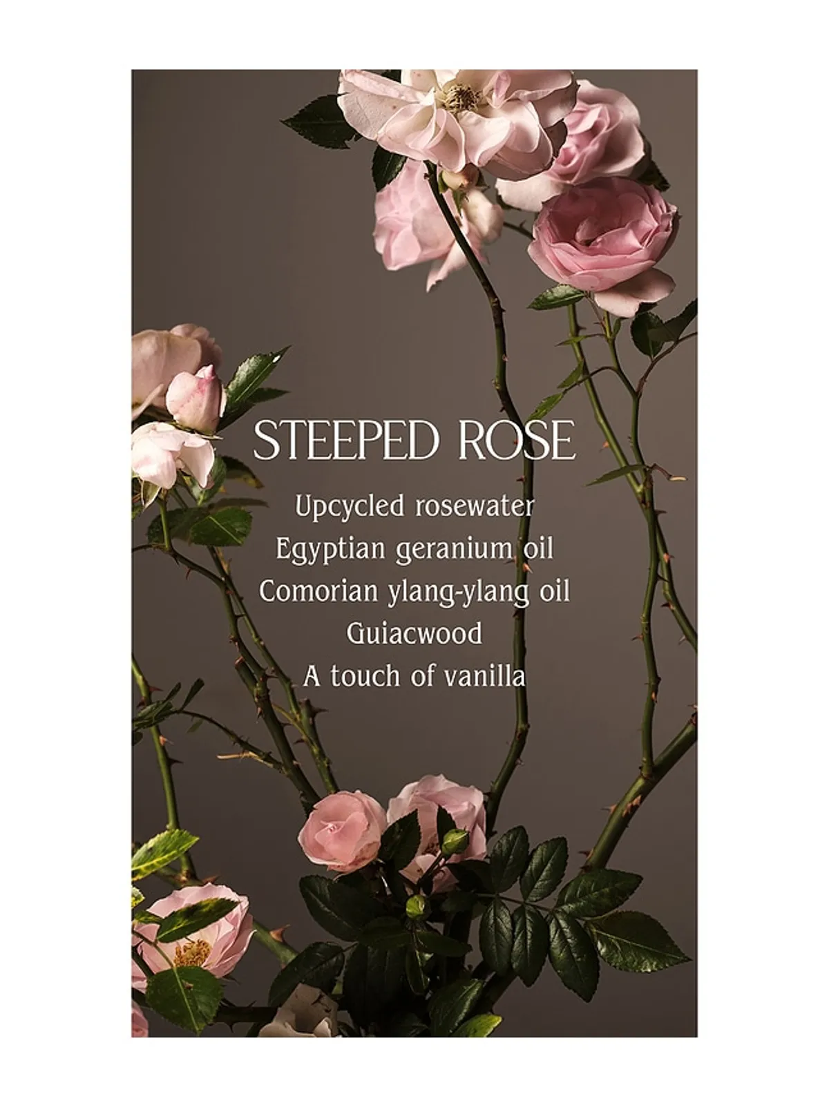 Homecourt STEEPED ROSE LAUNDRY CONCENTRATE 洗濯洗剤 - 画像3