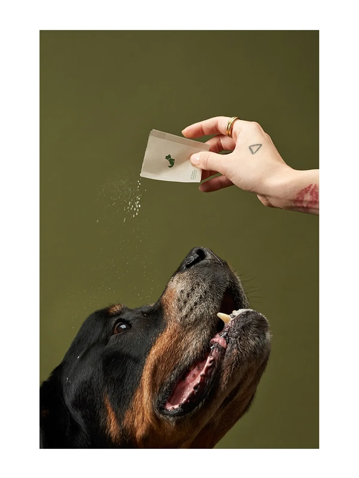 Lil Luv Dog DRY SHAMPOO ON-THE-GO ドライシャンプー - 画像4