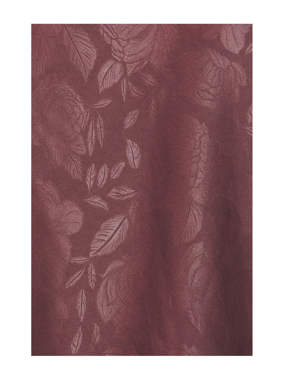 NIA VINELAND トップ - 画像5