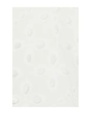 Steve Madden DALINA ドレス - サムネイル4