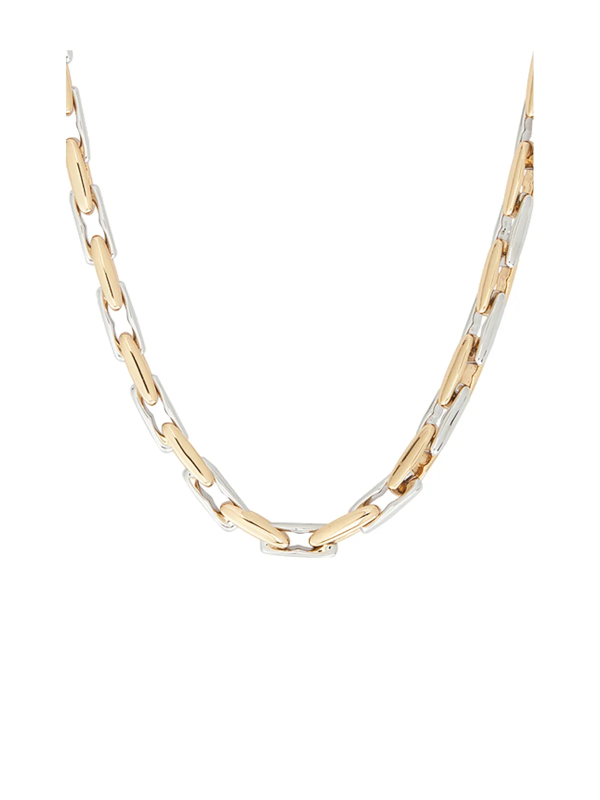 SHASHI LUCIEN ネックレス - Metallic Silver,Metallic Gold. - 画像2