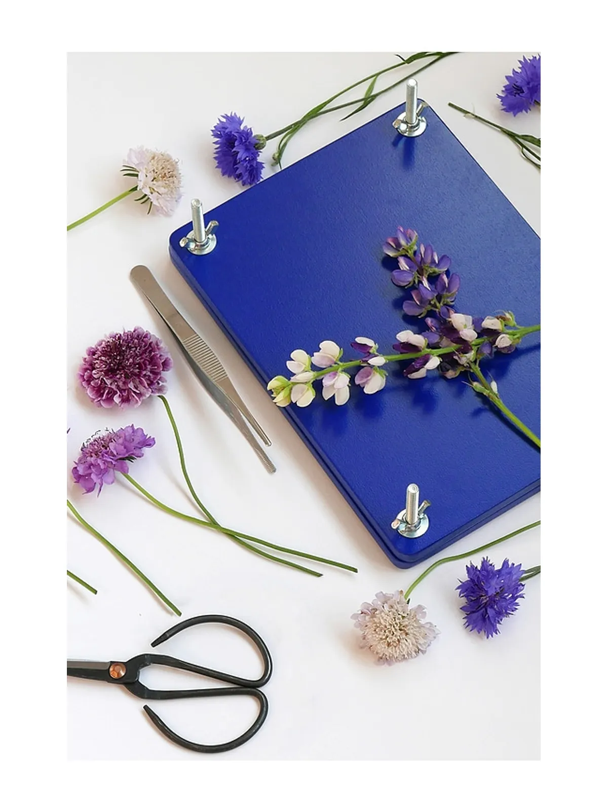 Printworks FLOWER PRESS KIT フラワープレス - 画像4