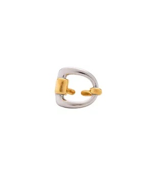 petit moments BIT バンドリング - Metallic Gold,Metallic Silver. - サムネイル1