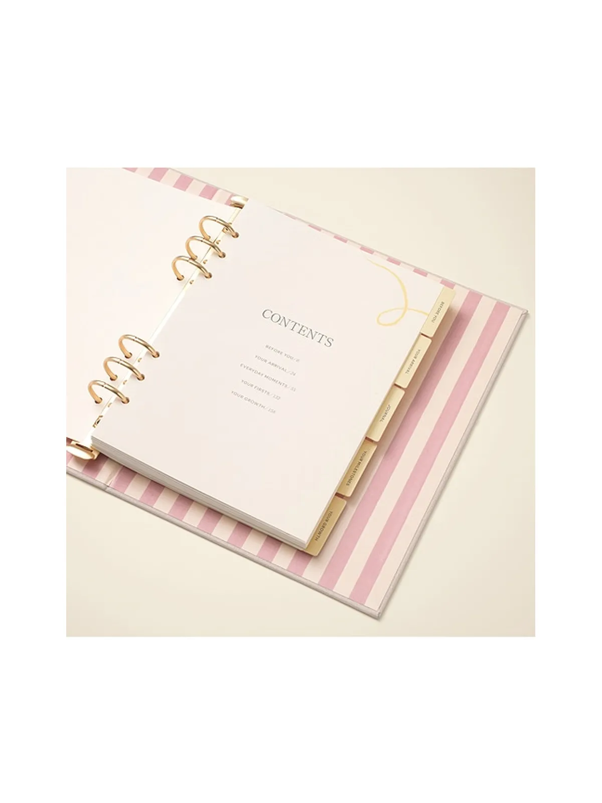 Papier CHERRIES BABY BINDER-FOLIO チェリー ベビーバインダーフォリオ - 画像5