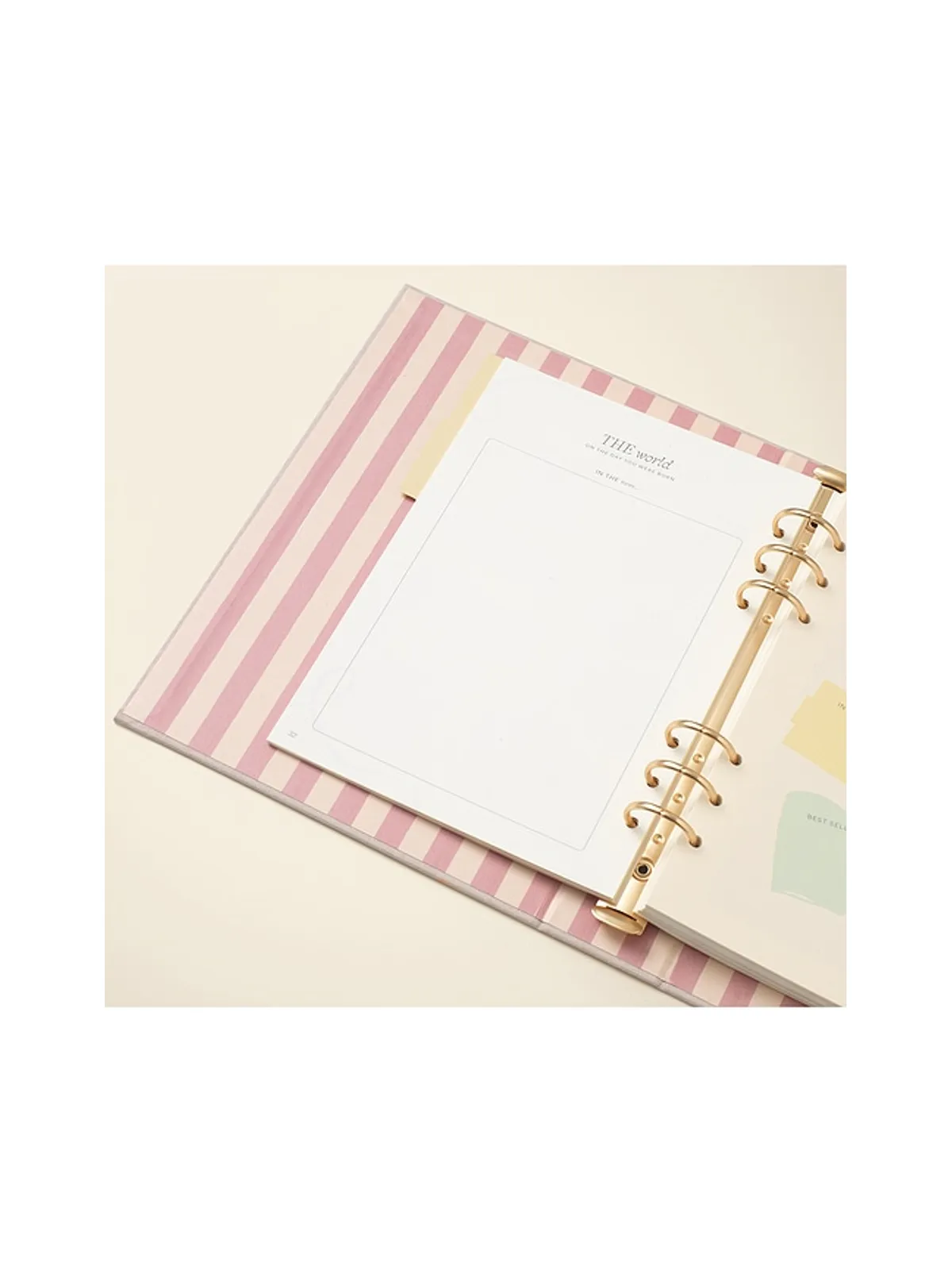Papier CHERRIES BABY BINDER-FOLIO チェリー ベビーバインダーフォリオ - 画像6