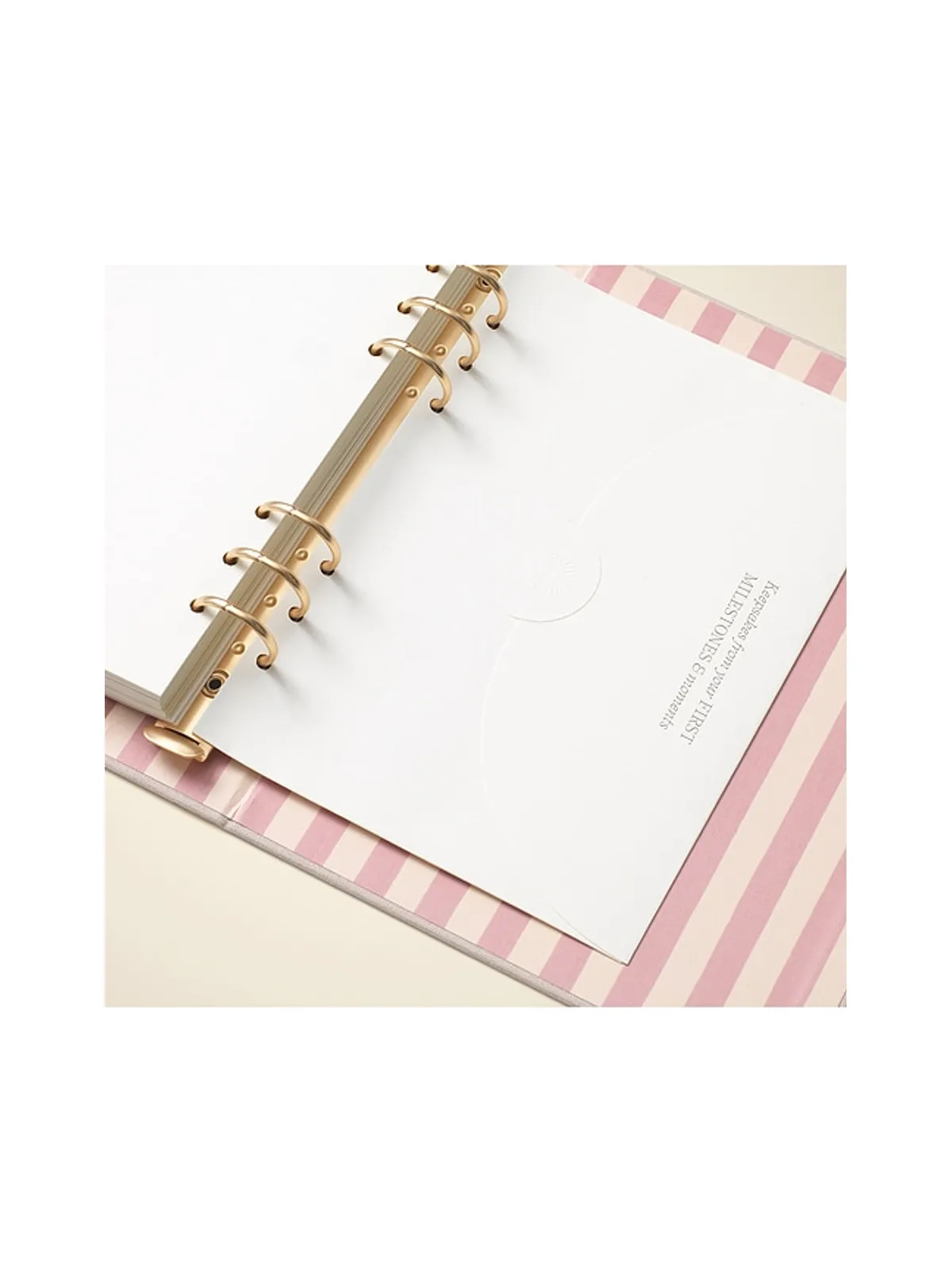 Papier CHERRIES BABY BINDER-FOLIO チェリー ベビーバインダーフォリオ - 画像7