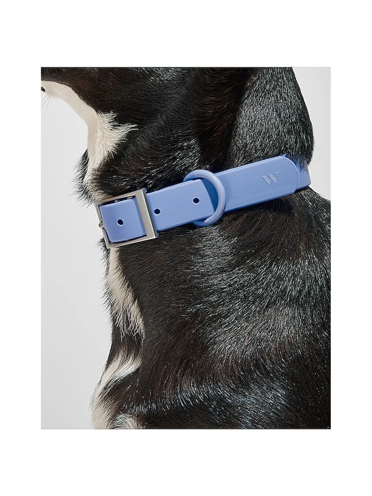 Wild One WILD ONE DOG COLLAR ドッグカラー - 画像5