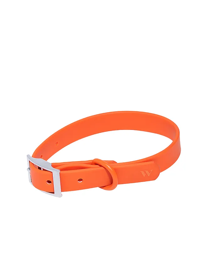Wild One Wild One EXTRA SMALL COLLAR カラーの商品画像