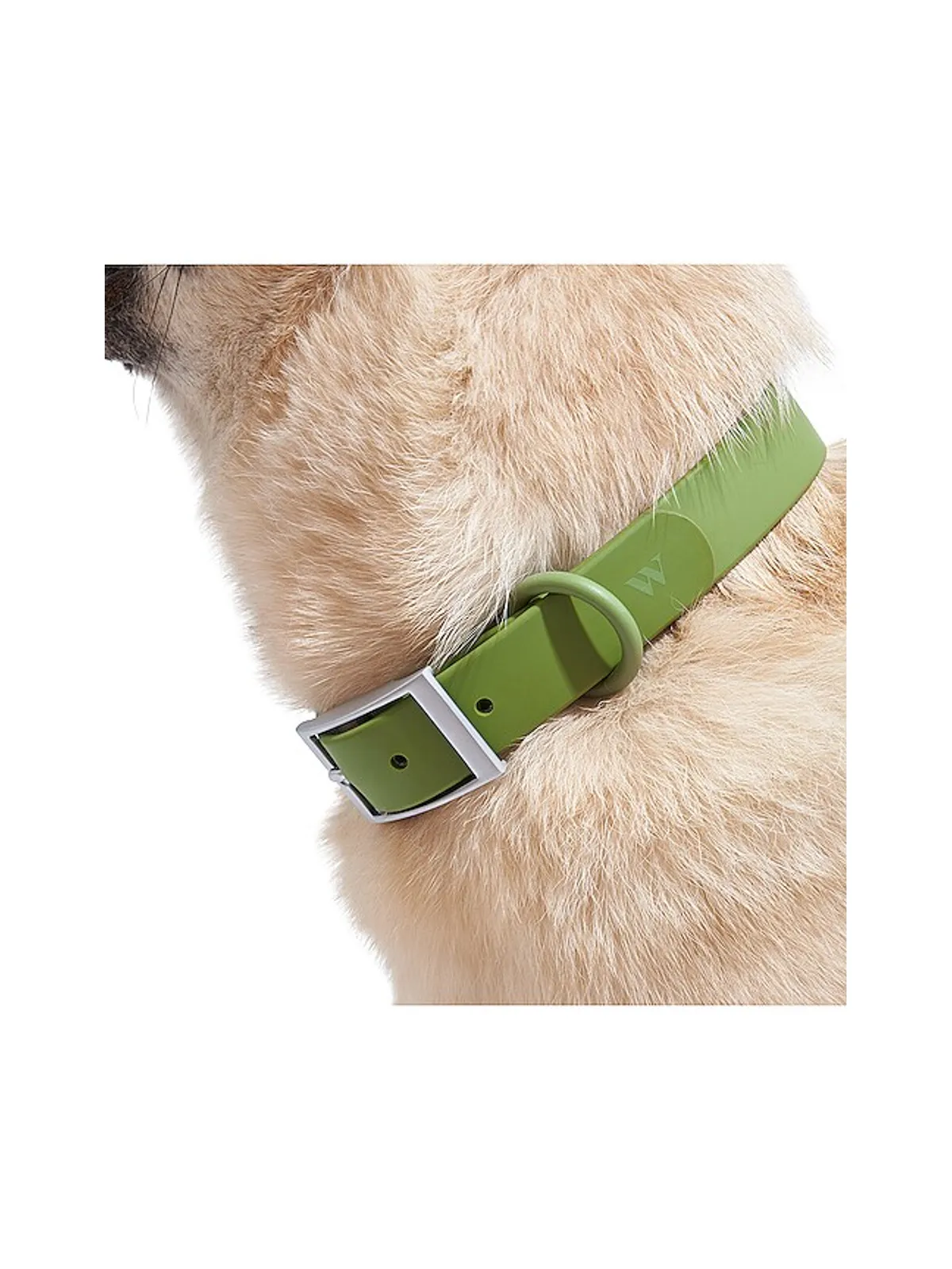 Wild One WILD ONE DOG COLLAR カラー - 画像5