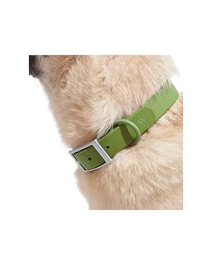 Wild One WILD ONE DOG COLLAR カラー - サムネイル5