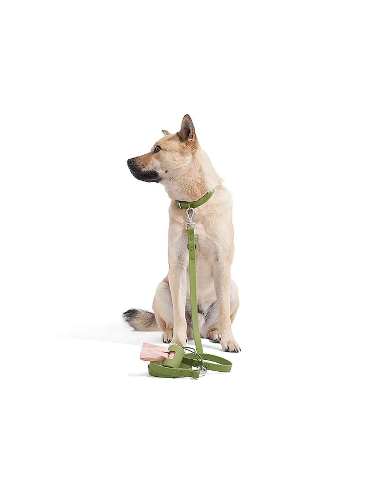 Wild One WILD ONE DOG COLLAR カラー - 画像8