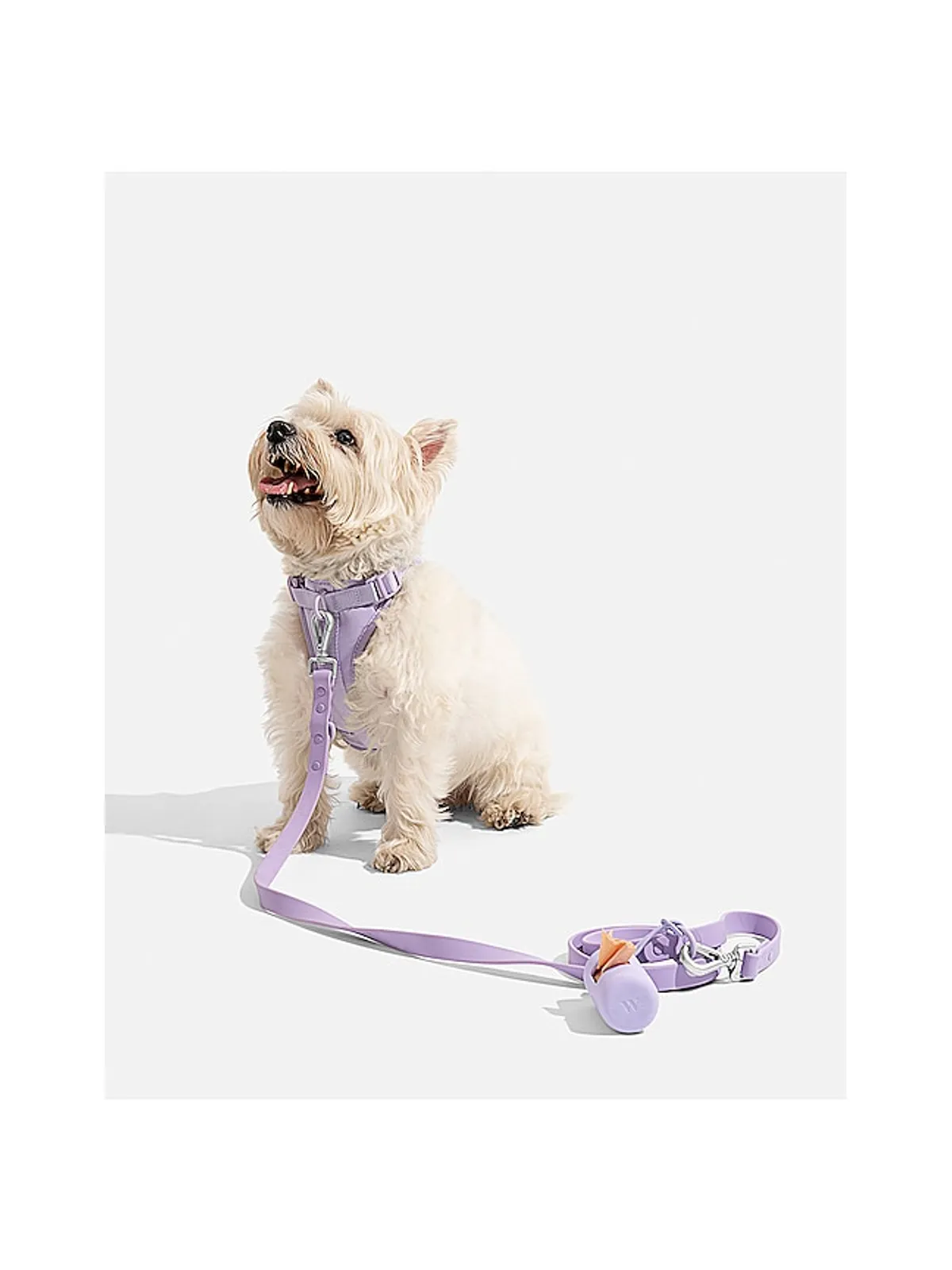 Wild One WILD ONE LEASH リーシュ - 画像6
