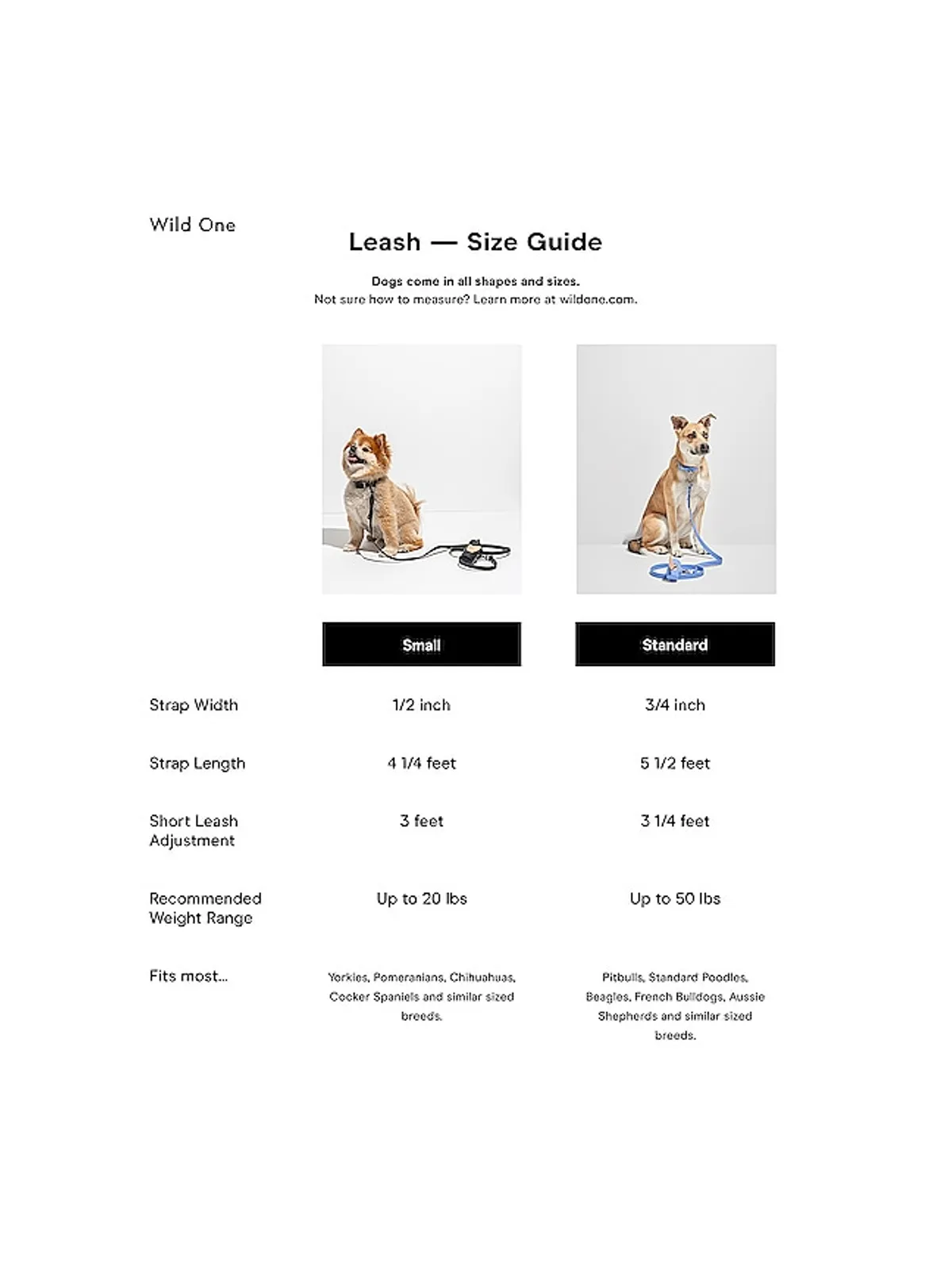 Wild One WILD ONE LEASH リーシュ - 画像3