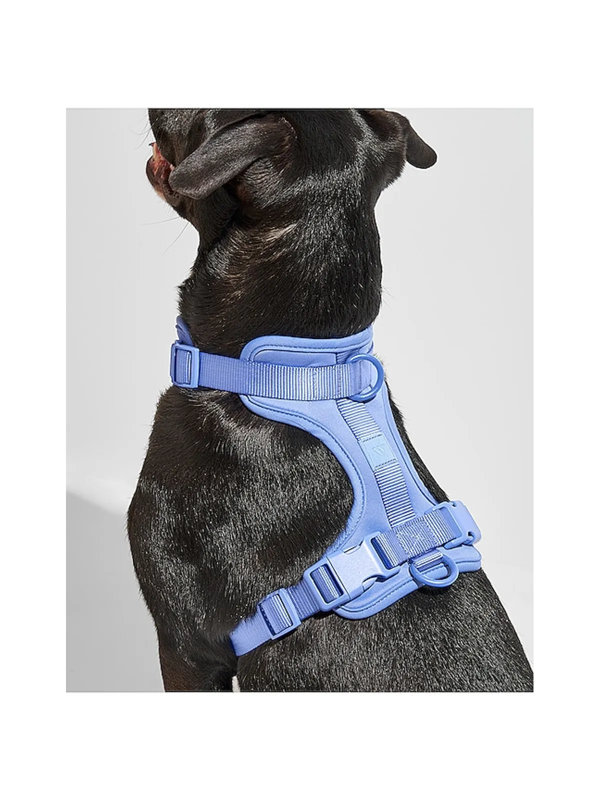 Wild One WILD ONE LARGE HARNESS ハーネス - 画像4