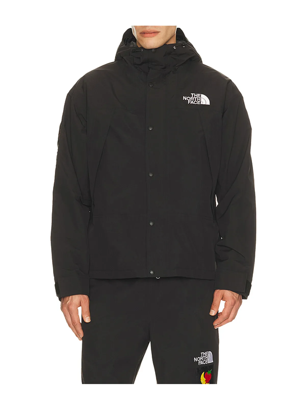 The North Face X SKY HIGH FARM MTN ジャケット - 画像2