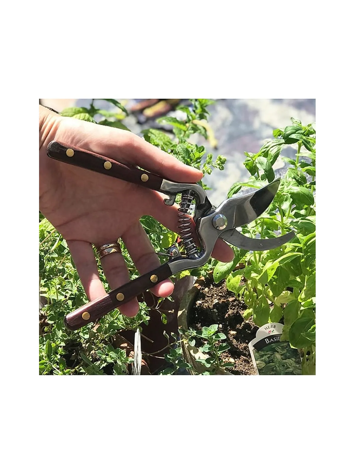 Verve Culture Thai Kitchen & Garden Shears - Metallic Silver,Brown. - 画像5