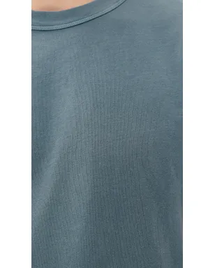 Citizens of Humanity 毎日着られるTシャツ ストーンブルー M - サムネイル6