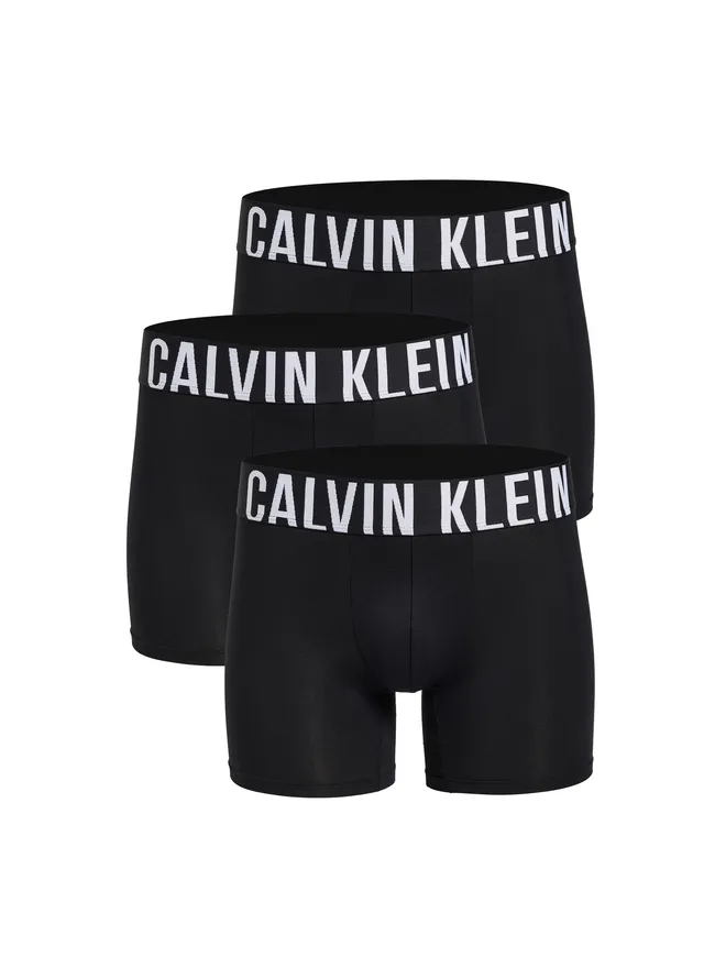 Calvin Klein Underwear Calvin Klein Underwear インテンスパワー・マイクロ ボクサーブリーフの商品画像