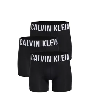 Calvin Klein Underwear インテンスパワー・マイクロ ボクサーブリーフ - サムネイル5