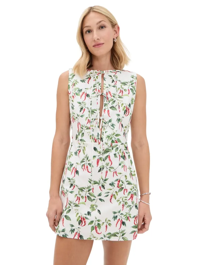 Another Girl Another Girl Chili Print Tie Front Mini Dress Multiの商品画像