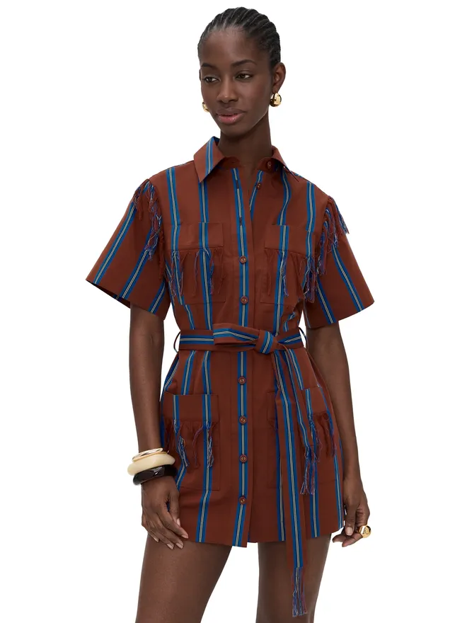 Alemais ALÉMAIS Noura Fringe Mini Dress Stripeの商品画像