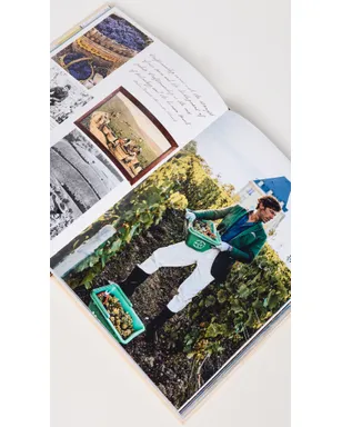 Assouline ワインと旅 フランス ブック - サムネイル4