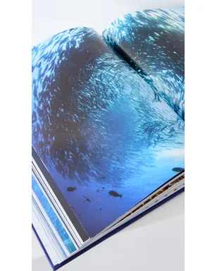 Assouline オーシャン ワンダーラスト ブック - サムネイル5