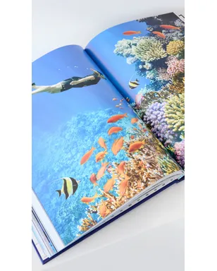 Assouline オーシャン ワンダーラスト ブック - サムネイル4