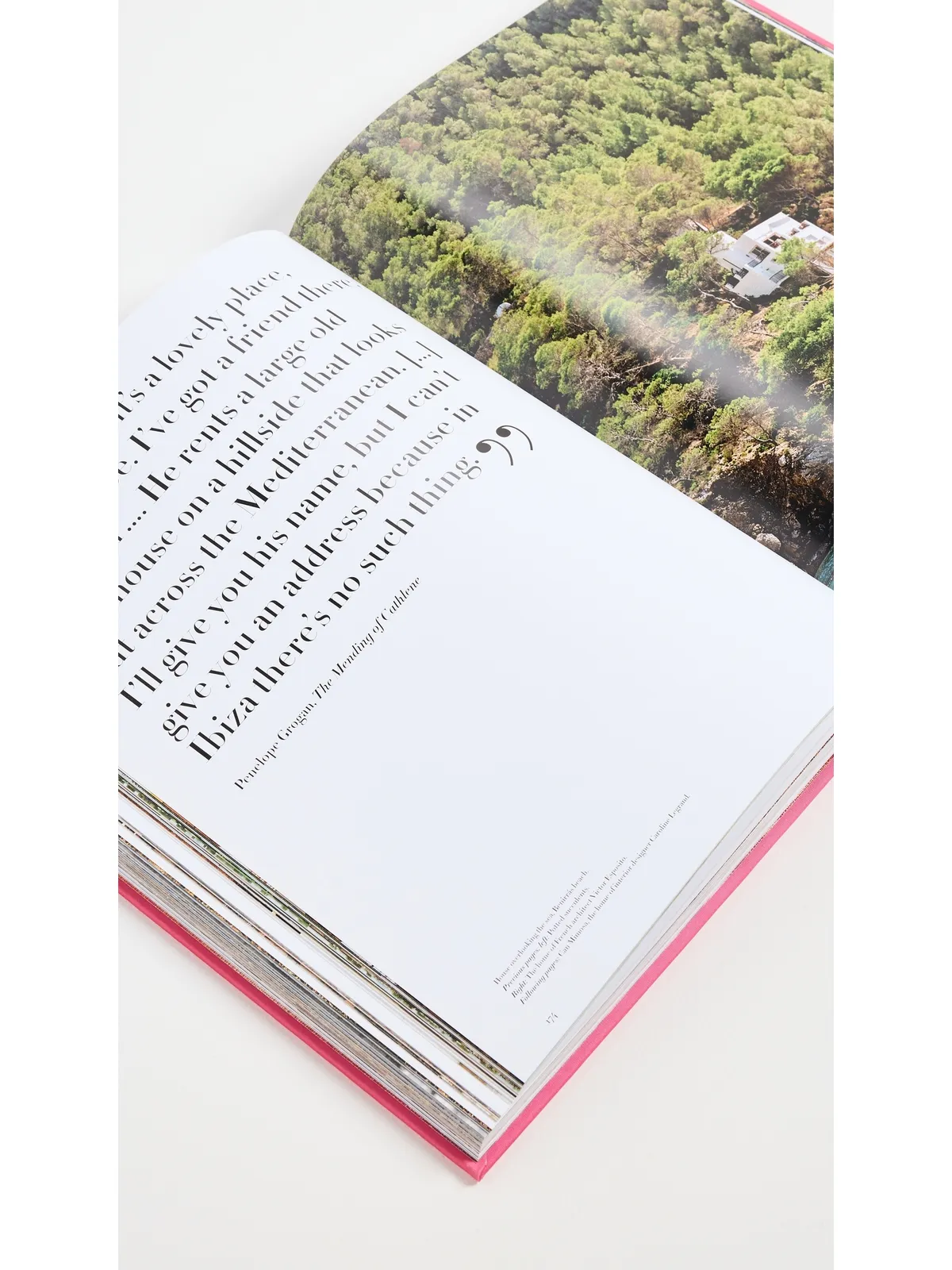 Assouline Ibiza Bohemia Book - 画像5