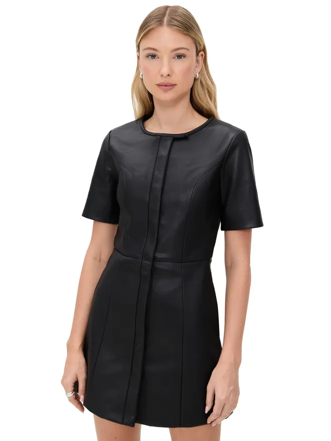 The Garment The Garment ブルックリン フェイクレザー ミニドレスの商品画像