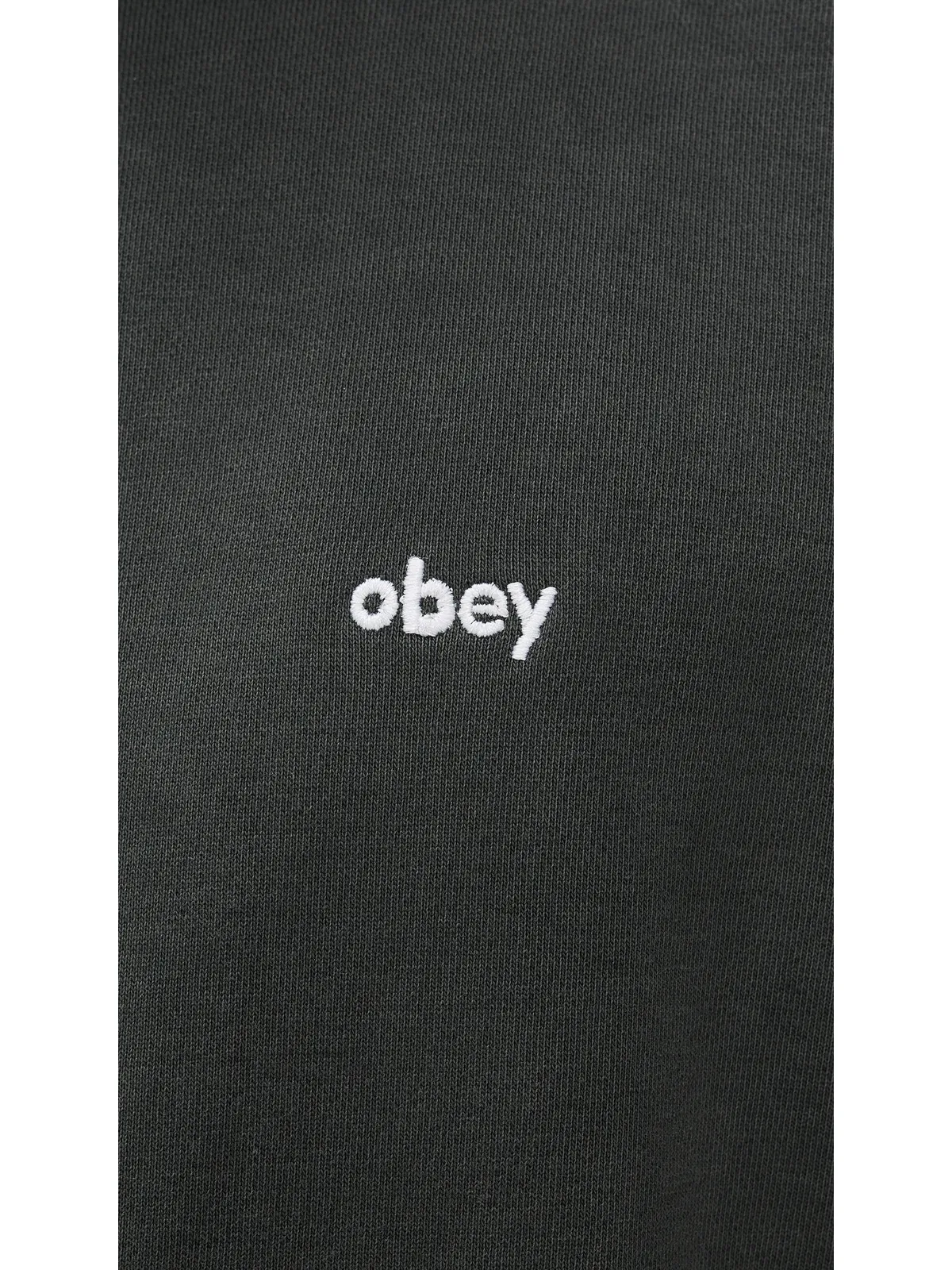Obey ヘビーウェイト ローワーキャスト ピグメント フーディ - 画像6