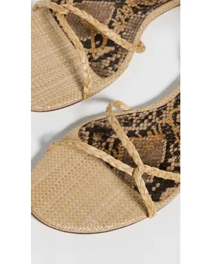 Sam Edelman エリナ ブレイデッド サンダル - サムネイル6