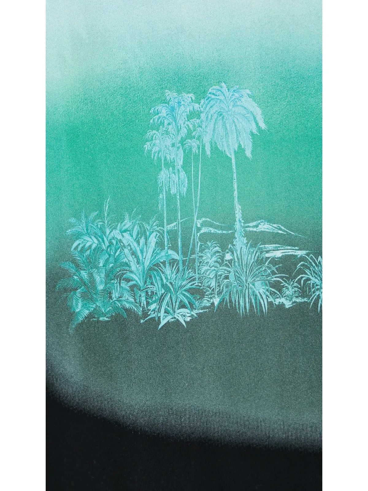 STAUD ウィリアム Tシャツ カリフォルニア・ドリームス - 画像6