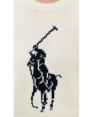 Polo Ralph Lauren ポロ ロゴ プルオーバー セーター - サムネイル6
