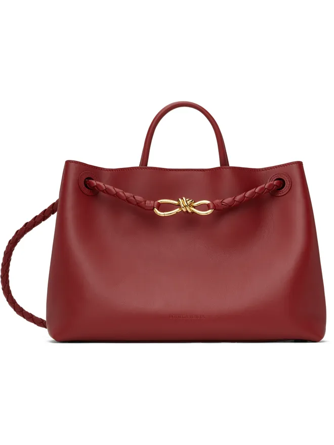 Bottega Veneta Bottega Veneta Andiamo バッグの商品画像
