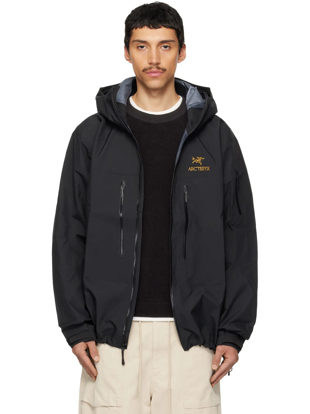Arc'teryx Alpha SV ジャケット - 画像1